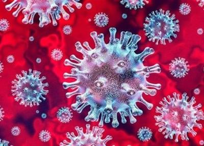 مجله علمی آمریکا: افراد آلوده به نوع اولیه ویروس کرونا در آمریکا و استرالیا متمرکزند