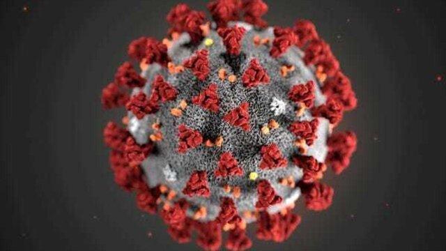 شناسایی یکی دیگر از علائمِ پوستیِ کرونا شناسایی یکی دیگر از علائمِ پوستیِ کرونا