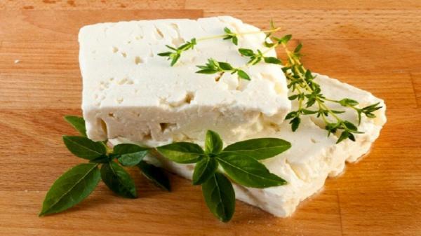 پنیر برای قلب مضر است؟
