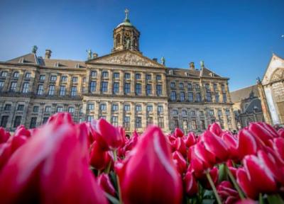 تور ارزان هلند: برترین زمان سفر به آمستردام، مرکز گل های لاله