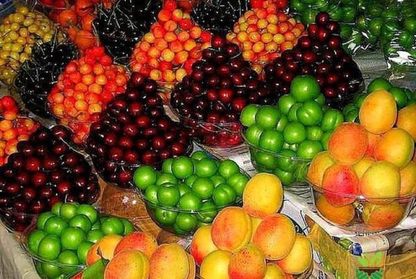 بازار میوه در مسیر کاهش قیمت ، قیمت زردآلو، گیلاس، توت فرنگی، موز و گوجه سبز را ببینید