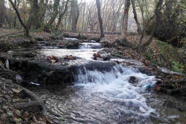 آشنایی با پارک ملی تندوره یا چهلمیر ، زیستگاه پلنگ ایرانی