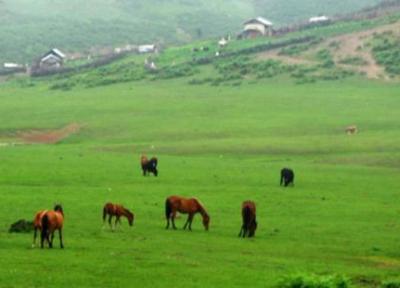 املش سبز گیلان؛ جایی میان رشت و بهشت